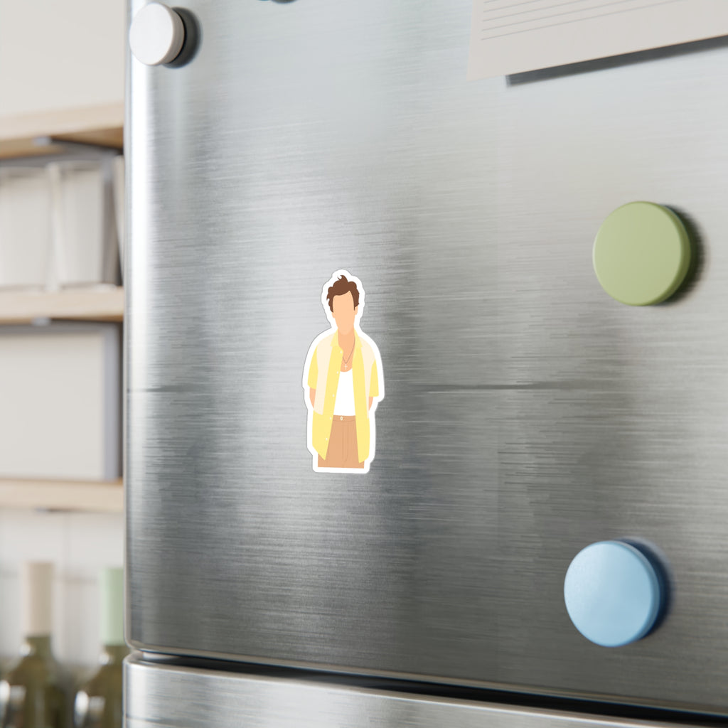 Harry Styles Vinyl Decal